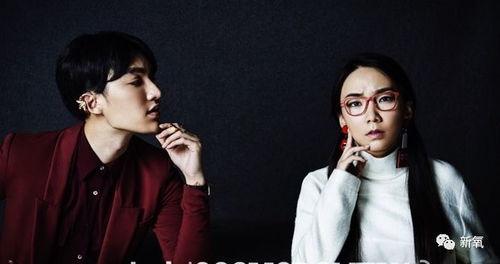 娱乐圈男艺人爆料视频,揭秘明星圈层内幕